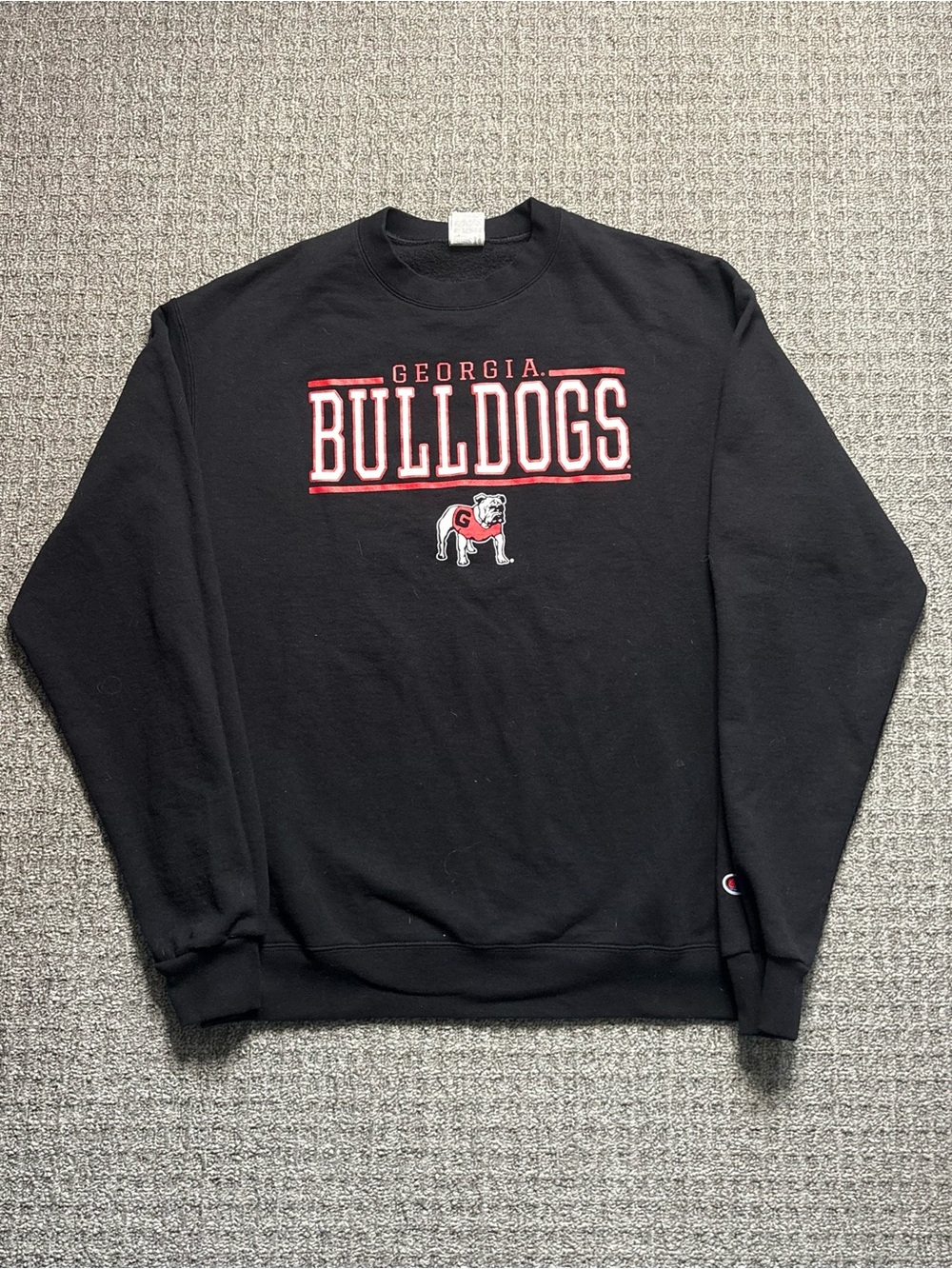 Y2K 2000s University of Georgia Bulldogs Champion Sweatshirt | $25